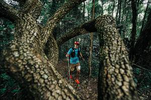 BIB: 
                            <button type="button" onclick="openModal(25392704)" class="btn btn-primary btn-sm float-right btn-popup" data-toggle="modal" data-target=".modal-high-quality">
                        <i class="fas fa-shopping-cart"></i> Add to Cart
                    </button>
                                            <button type="button" onclick="isThisMe(25392704, true)" class="btn btn-success btn-sm float-right btn-popup btn-isme hidden" data-toggle="tooltip" data-placement="bottom" title="นี่คือรูปของคุณใช่ไหม คลิกที่นี่เพื่อเอาเข้าอัลบั้ม">
                        <i class="fas fa-plus"></i> Add to album
                    </button>
                    <button type="button" onclick="isThisMe(25392704, false)" class="btn btn-warning btn-sm float-right btn-popup btn-isnotme hidden">
                        <i class="fas fa-ban"></i> Remove from album
                    </button>